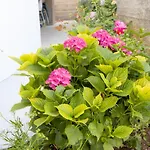 Apartment Latkovic Zaostrog