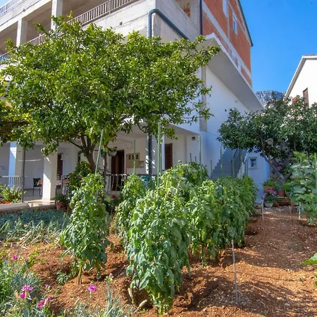 Apartment Latkovic