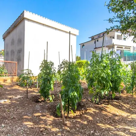 Latkovic Apartamento *